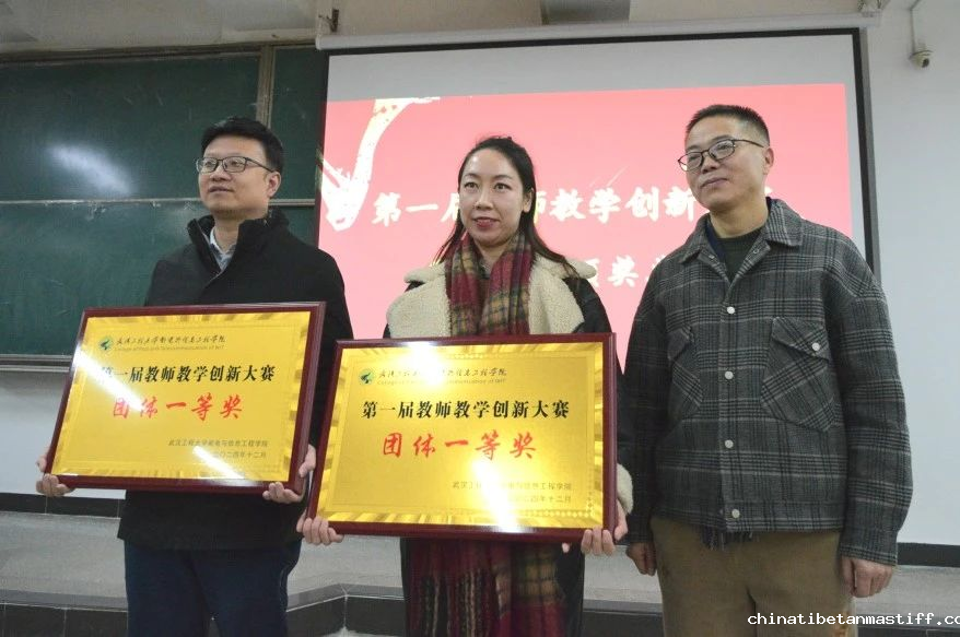 计算机与信息工程学院于我校第一届教师教学创新大赛中荣获佳绩