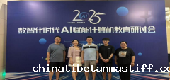 共探数智化时代教育新路径-计算机与信息工程学院教师参加AI赋能计算机人工教