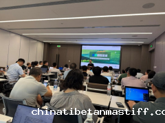 我院组织教师参加华为“仓颉编程语言培训”