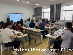 计算机与信息工程学院召开人工智能专业专家论证会