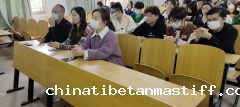 马克思主义学院开展第一次团总支学生会全体大会