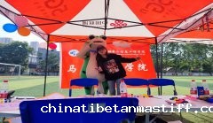 “欢快心灵，快乐生活”——马克思主义学院2023年心理加油站活动