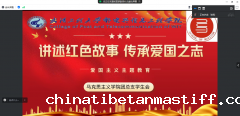 马克思主义学院召开“讲述爱国之志·传承爱国之志”爱国主义主题教育线上交