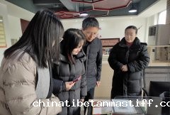 马克思主义学院前往青和居党员群众服务中心开展学习调研