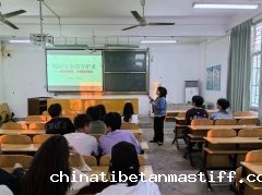 宿舍安全无小事，防诈反诈有办法 ——马克思主义学院开展安全信息员专项培