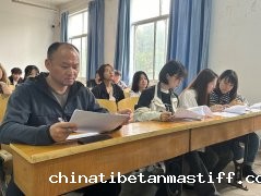 勇担使命葆初心，励志青春心向党 ——马克思主义学院团总支召开2024年上半年