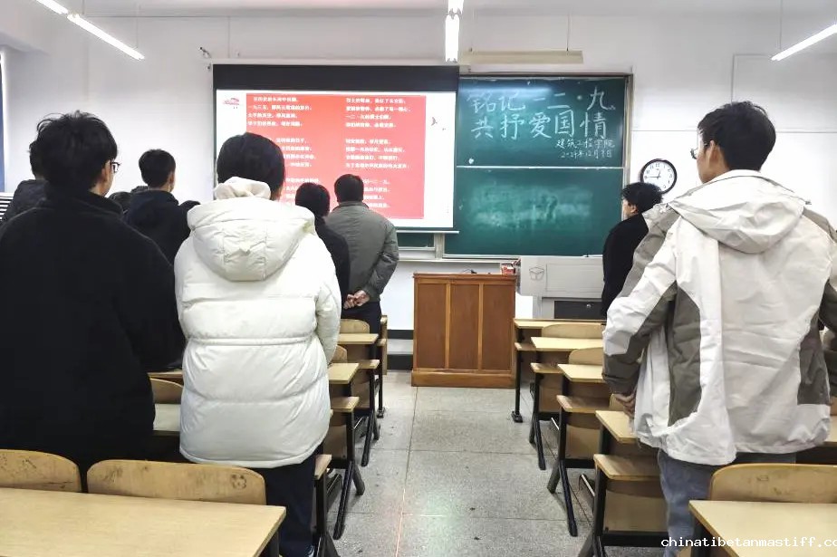 查看图片