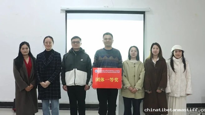 图文: 减压赋能 凝心聚力——我院成功举办辅导员日活动 | 秀米XIUMI