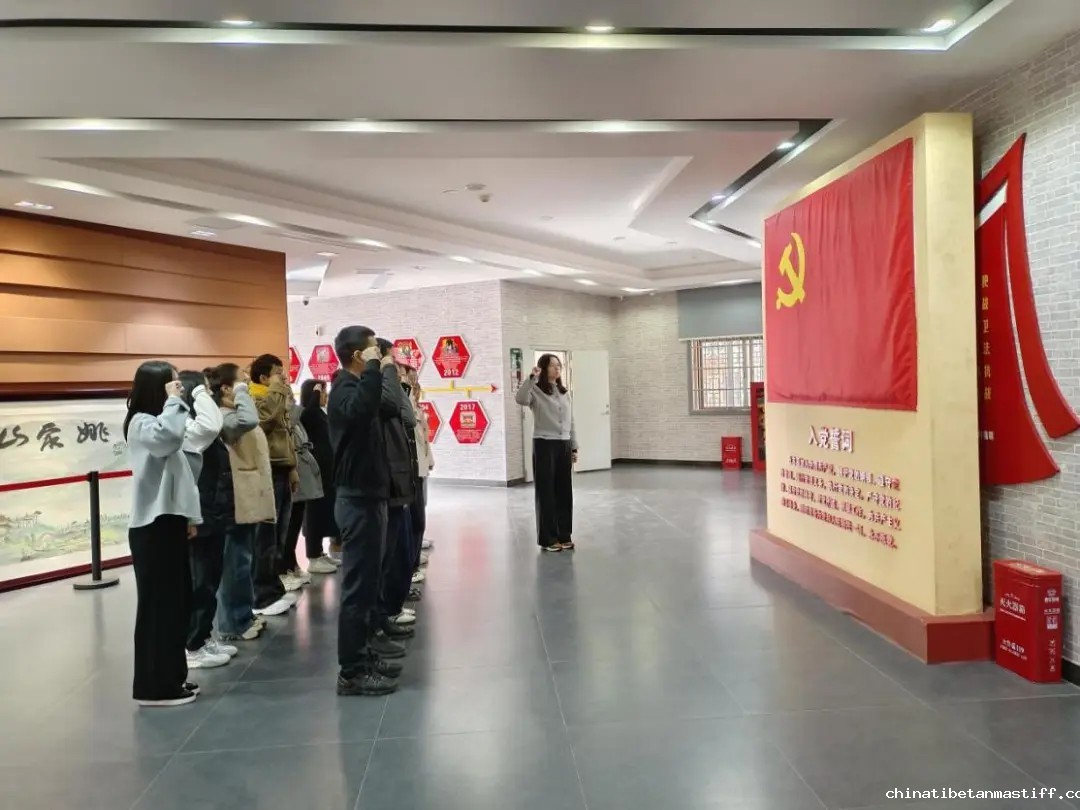 查看图片