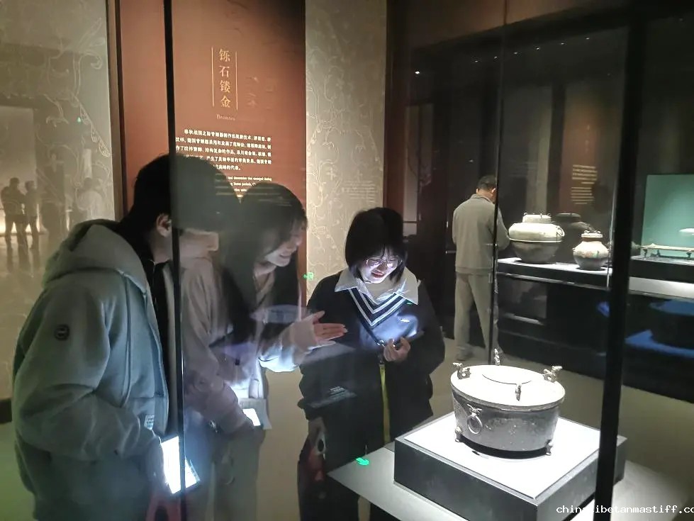 查看图片