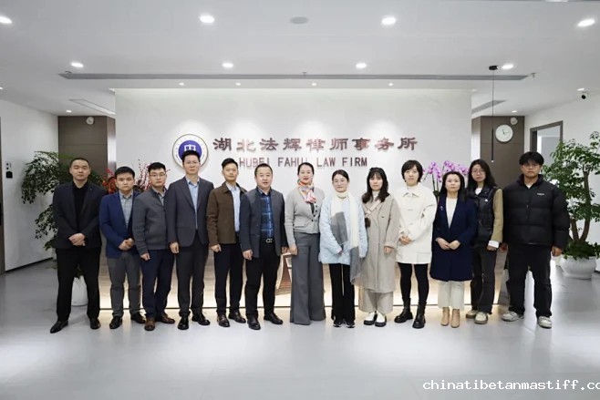 图文: 校企合作谋发展 “职”引未来名企行——马克思主义学院师生走访法辉、京师武汉律师事务所 | 秀米XIUMI