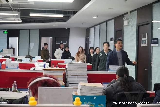 图文: 校企合作谋发展 “职”引未来名企行——马克思主义学院师生走访法辉、京师武汉律师事务所 | 秀米XIUMI
