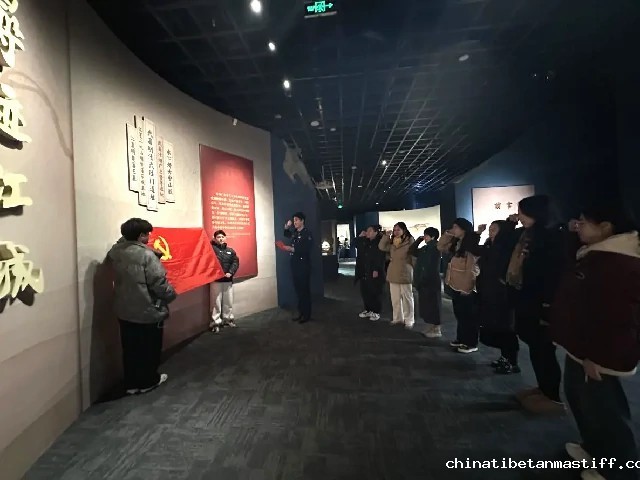 查看图片