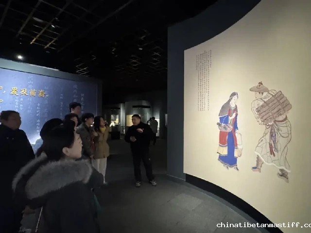 查看图片