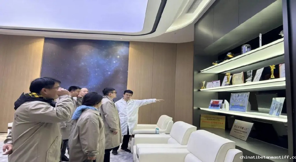 查看图片
