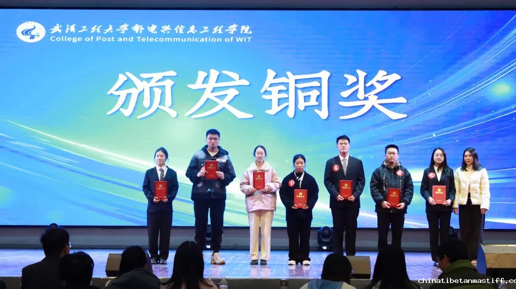 查看图片