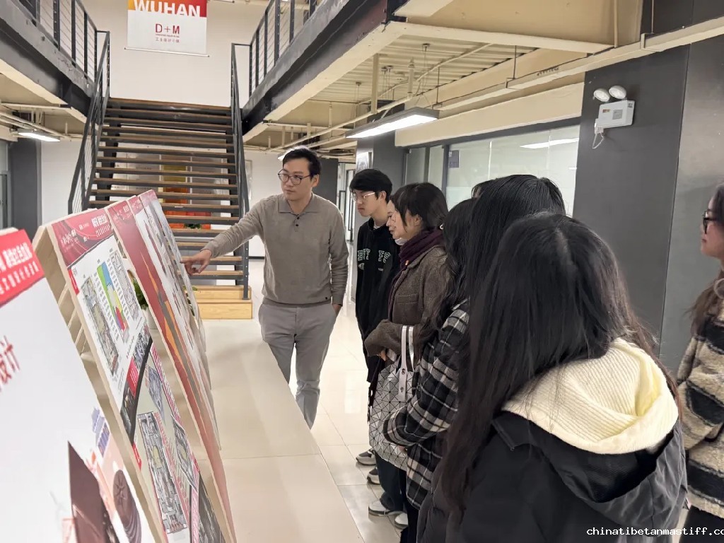查看图片