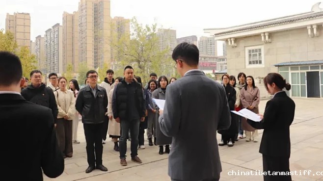 图文: 流芳校区党总支、邮科院校区党总支、马克思主义学院党总支联合举办2024年基层党务工作创新与发展研修班 | 秀米XIUMI