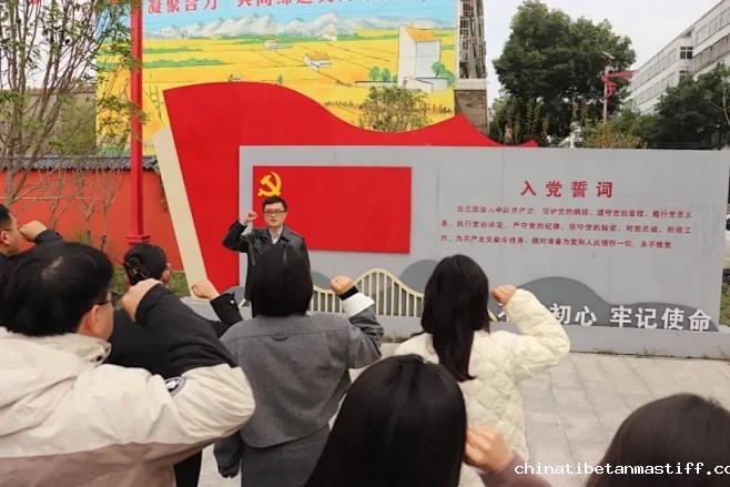 图文: 流芳校区党总支、邮科院校区党总支、马克思主义学院党总支联合举办2024年基层党务工作创新与发展研修班 | 秀米XIUMI